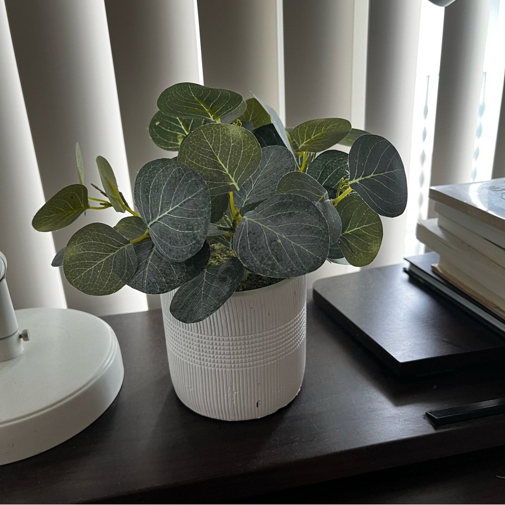 faux eucalyptus white potted plant